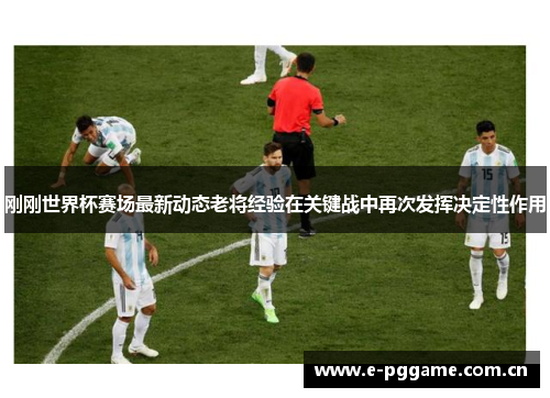 刚刚世界杯赛场最新动态老将经验在关键战中再次发挥决定性作用